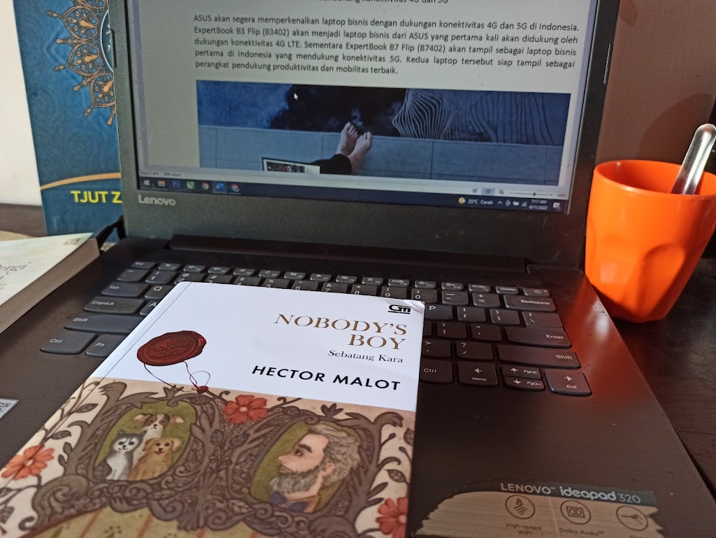 Remi, Sebatangkara Yang Dipenuhi Cinta